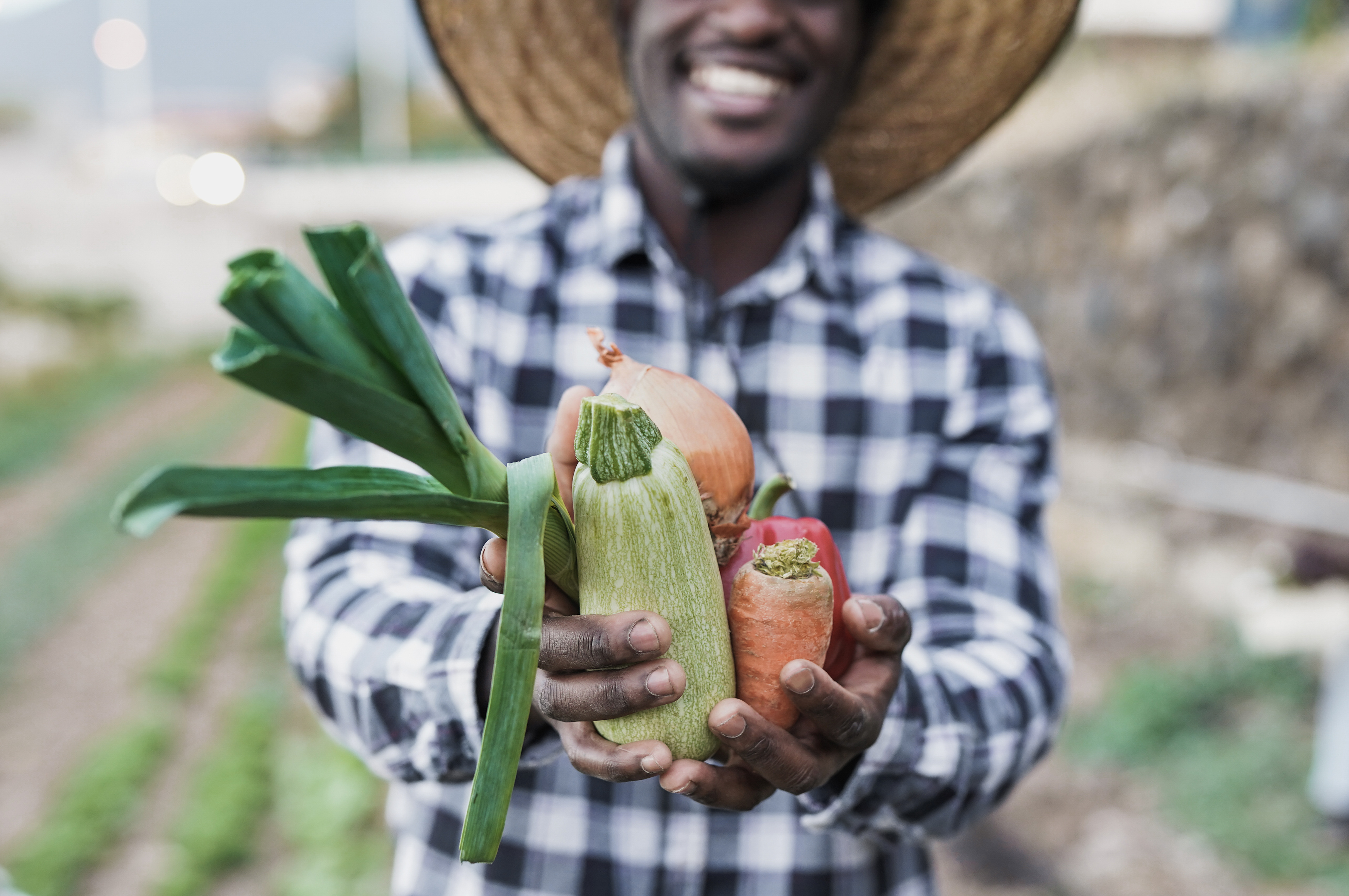Borrower Profiles
