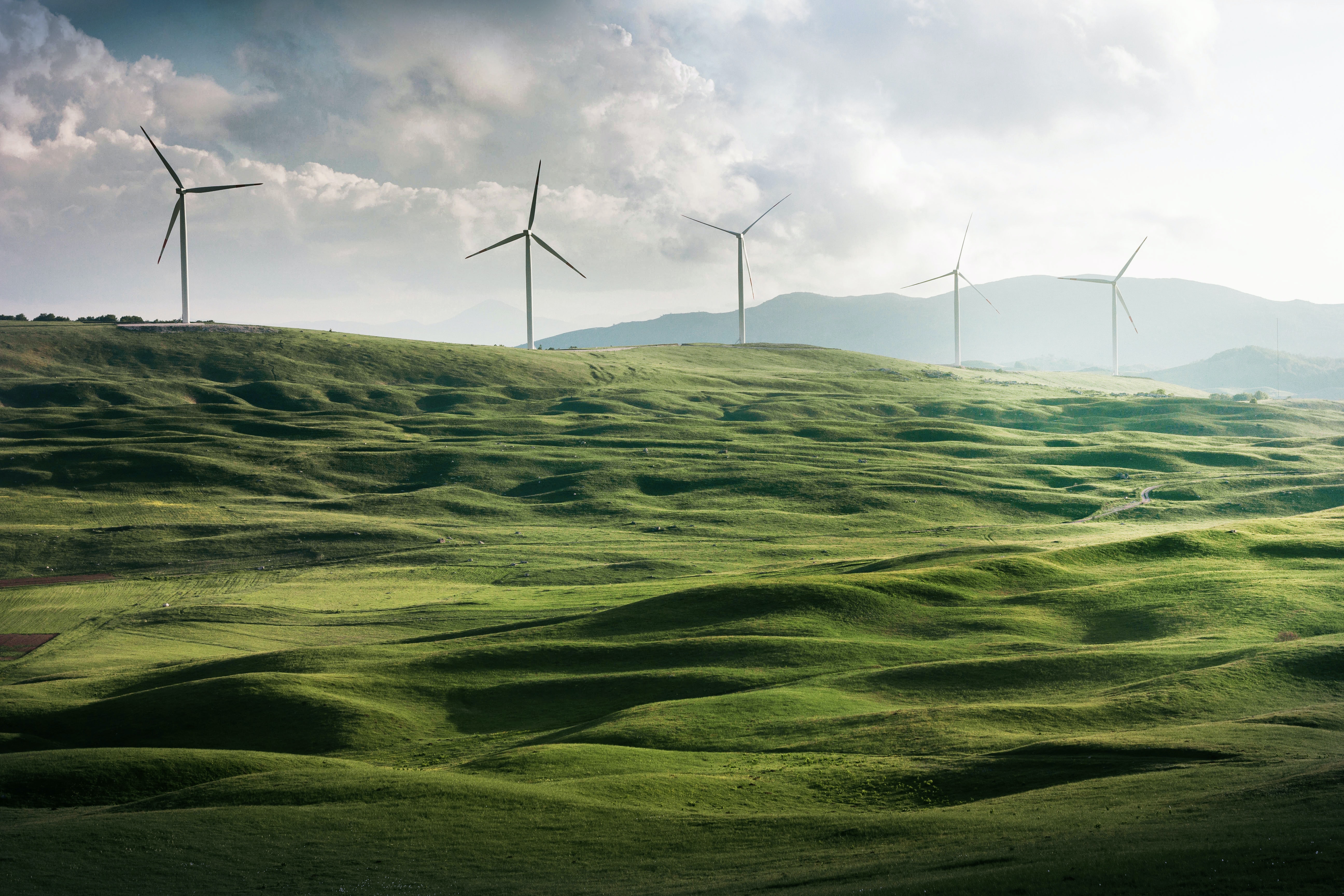 Sustainability Projects